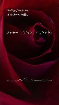 【癒しオルゴール】プッチーニ『ジャンニ・スキッキ』「私のお父さん」【Relaxing Music Box】puccini「O mio babbino caro」