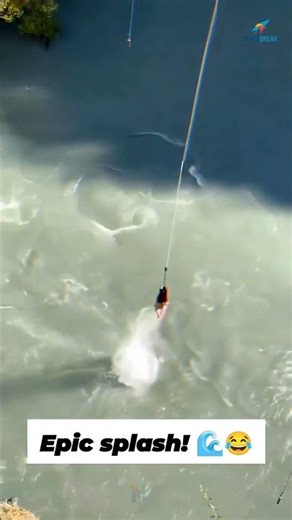 Epic Bungee Fail! You Won’t Believe This Splash 😱💦 #shorts ,usa🇺🇸