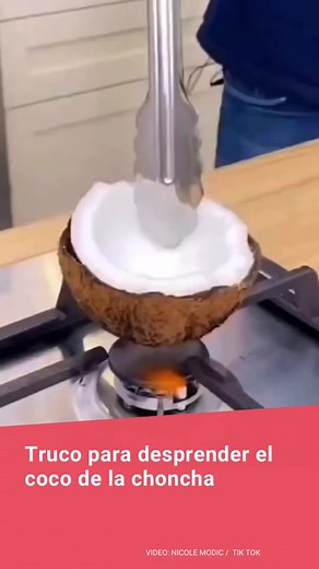 APRENDE A RETIRAR LA CONCHA DEL COCO 🥥 Te explicamos en unos sencillos pasos cómo pelar un coco, primero debes retirarle el agua que hay en su interior. Luego coloca el coco sobre el fuego, cuando esté caliente lo sumerges en agua fría (preferiblemente con hielo) y se desprenderá con facilidad con un cuchillo. ¿Conoces otro truco para pelar el coco? Déjanos tu comentario