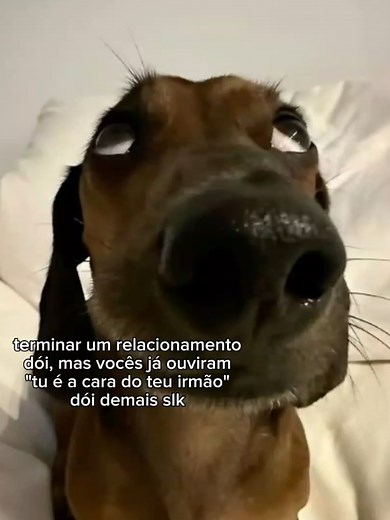 A cara do meu irmão: Humores sobre irmãos e relações