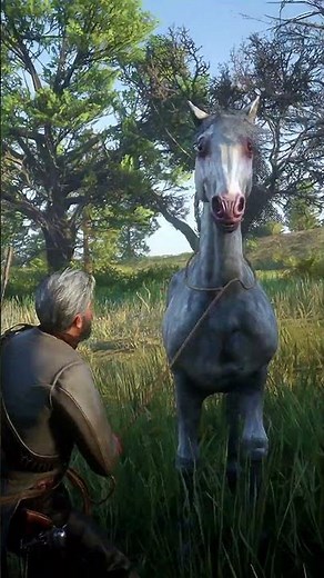 ريد ديد ريدمبشن 2 اون لاينRed Dead Redemption 2 #reddeadredemtion2 😱