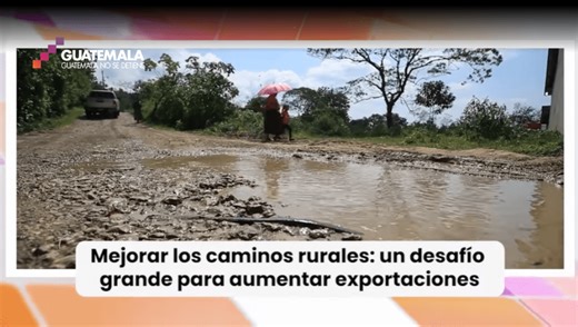 VIDEO | El desafío de exportar cardamomo desde Cobán hasta Arabia por los deficientes caminos rurales