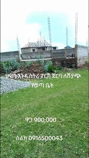 Hawasa delala#yene #fpydeve delala#varil yeneደላላ#varil sheger homs#varil
