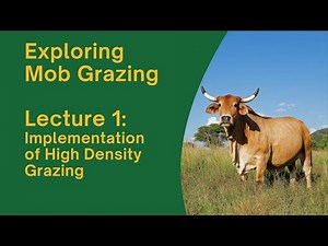 Exploring Mob Grazing