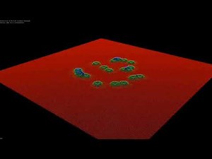 Bose-Einstein Condensation