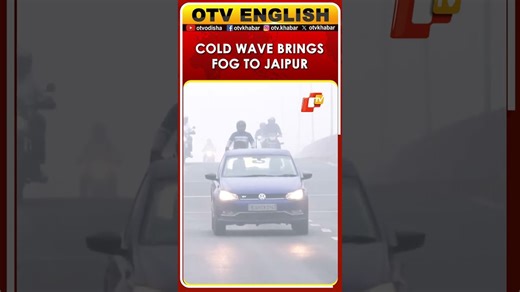 Watch: Cold Wave And Fog Envelopes Jaipur, Rajasthan