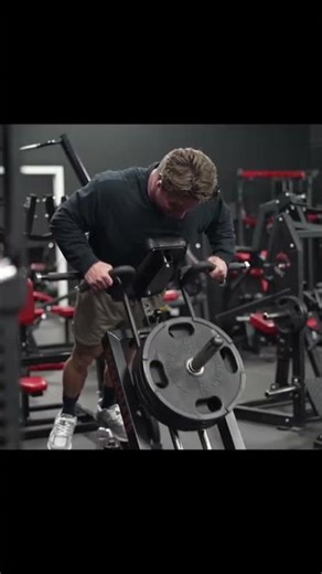 Big back exercise machine