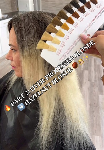 ✨PART 2: The Formula & Process Everyone Asked For! 😍🧪✨ ❤️ Save the formulas & take notes! 📝🤍 @Redken If you watched Part 1, here’s the complete step-by-step process I used to transform her over-processed blonde into the perfect Hazelnut Blonde while seamlessly blending her grow-out grays using all @RedkenPro. 🌰✨ 👩‍🔬 Step-by-Step Formula 💡 Step 1: Canvas Rebalance Shades ALK 09GI 💡 Step 2: Lightener Blonde IQ 7 10 Vol Dedicated Developer 🔥 HOT TIP: I used conditioner inside my foils to 
