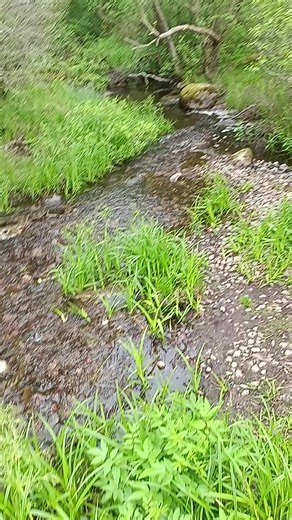 kris. (@kristinka.babinsk)s videor med son original - Phil Smith