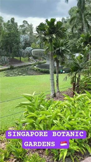 #singapore #botanicgarden #singaporevlog #singaporebotanicgardens