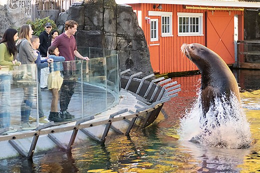 Tickets, Hours & Information | Visit Vancouver Aquarium