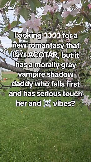 Welcome to The Binding Chronicles, where the vampires aren't nice, but the prince is morally gray #fantasyromance #romantasy #kindleunlimitedromance #booktok #vampireromance #thebindingchronicles | Author Elayna R. Gallea