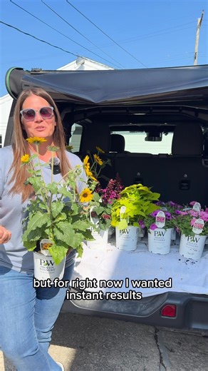 3.9K views · 90 reactions | New Plant Haul!  Our Limited Edition...