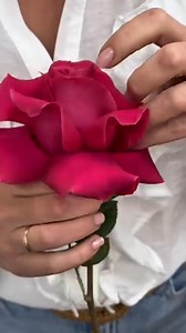 #FlowersForHer #HappinessDelivered #FlowerDelivery Make someone you love happy today! 👇 https://www.blossomflowerdelivery.com/shop/?utm_source=facebook&utm_medium=fanpage | Blossom Flower Delivery
