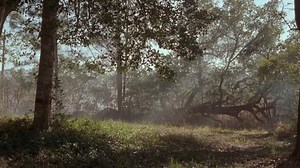 Black.Knight.2001.VFQ.1080p.Bluray.x264 (Chevalier Noir)