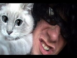 The Music / Kitty Update