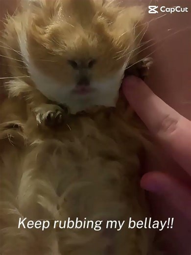 The cutest little flash!