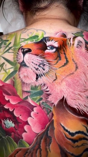 Full back tiger tattoo in progress by @Will — capturing strength and motion If you like the work or have any questions, please don’t hesitate to contact us at 626-570-9224 #asiantattoo #tigertattoo #fullbacktattoo #girltattoo #fullbacktigertattoo