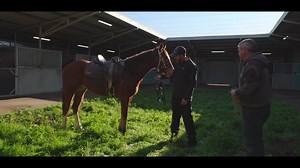4.1K views · 68 reactions | Join first time racehorse owner Peter as...