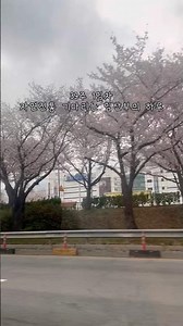 임신일기2 | 39주 1일차 유도분만 날짜 잡은 임산부의 하루