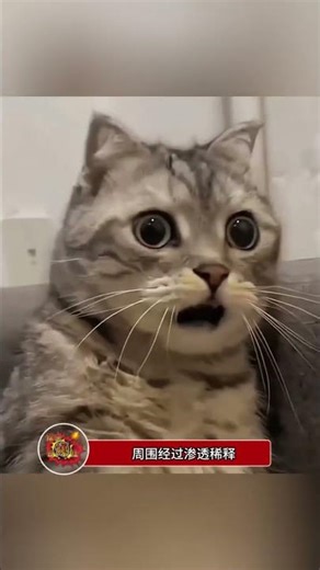 Discover Spring's Little Dog Tracks on the Lawn