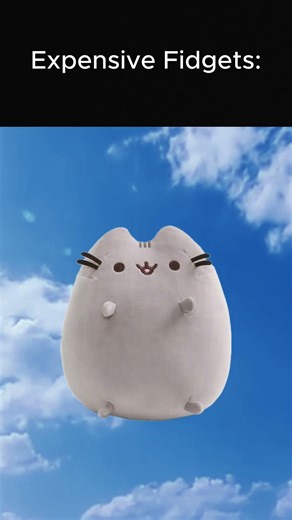 Expensive Fidgets VS Cheap Fidgets