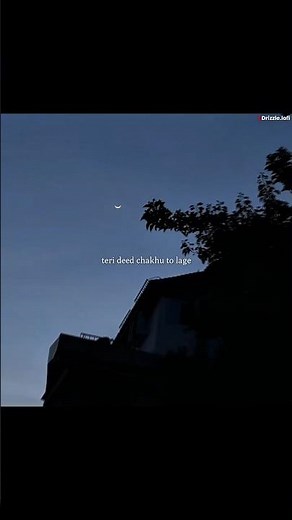 Tujhse kya parda karu 🕊️| Oh sahib - Zain zohaib| Parda e dil poshi Song|#explore#lyrics#vibe#status