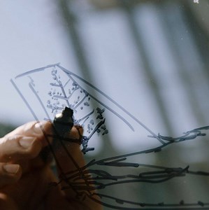 Welcome aboard a new era of five-star service in the sky – the reimagined Four Seasons Private Jet. Taking flight in early 2021, our all-new custom aircraft will evoke the glamour of air travel in times past, while providing more space for guests to socialize and connect with #FourSeasons master craftspeople, further enhancing the #FSJet in-flight experience. Visit the link for a sneak preview: http://bit.ly/FSJet__NewJet | Four Seasons Resort Orlando at Walt Disney World Resort