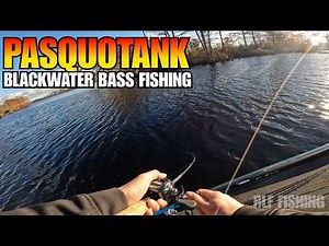 Why I Love Fishing the Pasquotank River (Even on Tough Days)