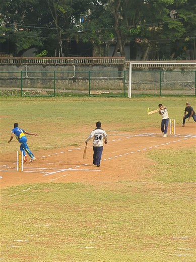 Mastering Cricket Techniques for Softball Players