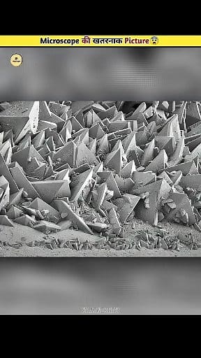 295K views · 4.9K reactions | Normal Things Under A Microscope #knowledge #information #fact #microscope | What We Know | Facebook