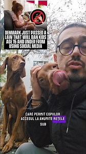 Danemarca a interzis accesul copiilor sub 15 ani la retelele de socializare 😊