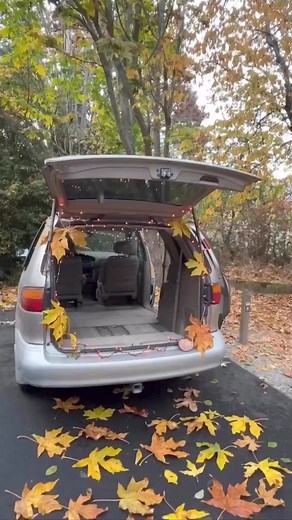 34K views · 273 reactions | Sometimes you just gotta pack up and go  For those looking for a quick and easy van build that you won’t have to spend tons of money and time on, our kits are just the right fit  Did we mention FREE SHIPPING for customers in the lower 48?  Grab yours at  https://campncar.com/store | Camp N Car | Facebook