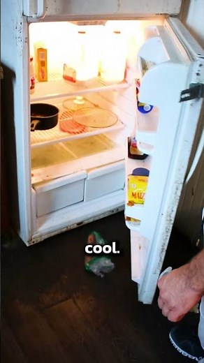 What Causes Cockroach Infestations!