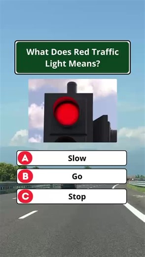 Master Your Traffic Signs: 🚧🚖#trafficrules #roadsigns #drivingtips #learntodrive #roadsafety