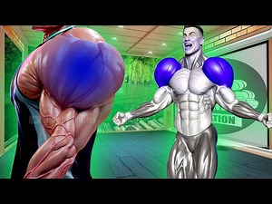 6 Best Exercises to Get Wide Shoulder Fastest