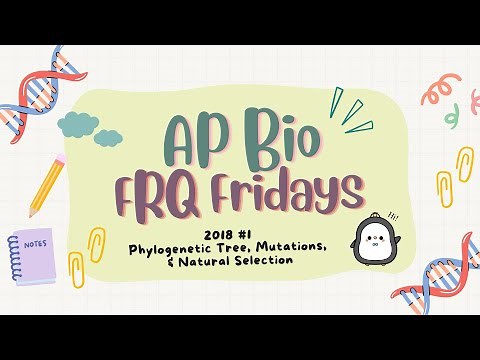 ✨AP Bio FRQ Friday 22: 2018 #1✨ Phylogenetic Tree, Mutations, and Natural Selection