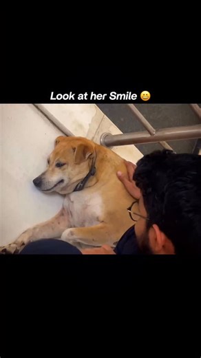 Dolu ❌ Motu Pro Max ✅ | Sourav Mukherjee