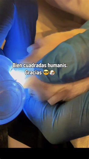 Consejos para cortar las uñas de tu beagle