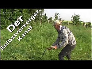 First experiences with a scythe