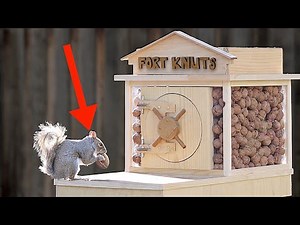 Backyard Squirrel Maze 2.0- The Walnut Heist‪@MRINDIANHACKER‬