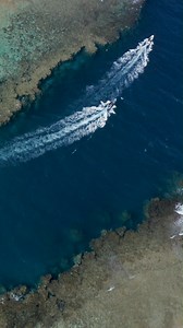 Our house reef 🔝❤ 🌐 www.redsea-divingsafari.com | Red Sea Diving Safari