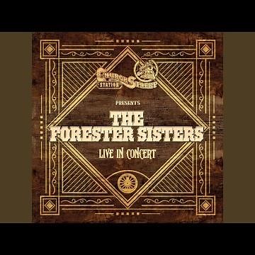 Boy From New York City (Live)