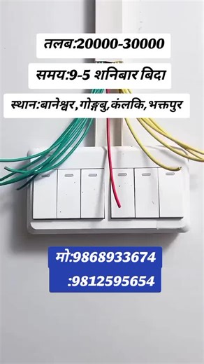 #redbull #viral #jobsearch #trending