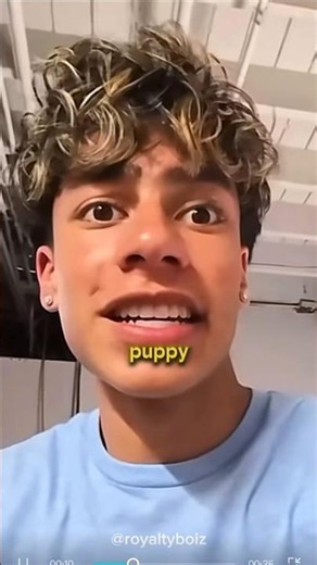 The Royalty Family Saved a Puppy #royalfamily #ferran
