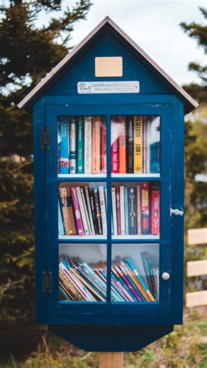 The founders of a Minnesota non-profit were worried about troublingly low levels of childhood literacy. Their solution? Starting an organization that has now distributed more than 400 million books around the world. 📚