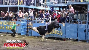 13K views · 806 reactions | Siempre espectacular el Bandido Américano de Ganaderia 2 RR | Rodeos Sin Fronteras | Facebook