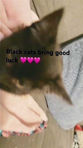 🩷🩷💜🩷🩷💜🩷💜🩷💜🩷💜🩷💜🩷💜🩷💜🩷💜🩷🇦🇽🩷🩷🇦🇽🩷💜🩷💜🩷💜🩷💜🩷💜🩷💜🩷🩷💜🩷🩷💜🩷💜🩷💜💜