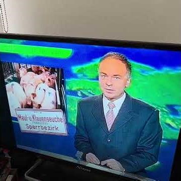 2001 @ZDF #heute with topics #againsttheright #footandmouthdisease etc.