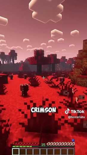 Best Terraria MOD for Minecraft | terraria